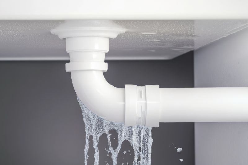 Pipe Leak Repair in Denver, CO